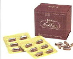 X[p[GoOi6×10jyp[hN10{v[gtzy{Ёzyz