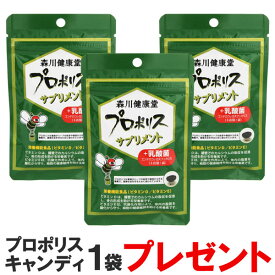 【プロポリスキャンディ1袋プレゼント】プロポリスサプリメント＋乳酸菌（25.8g（430mg×60粒））【3袋セット】【森川健康堂】【メール便送料無料の場合代引・同梱不可】