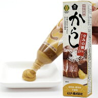 旨味本来・からし（40g）チューブ【ムソー】