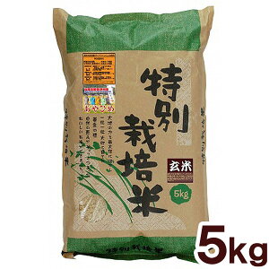 ʌ聚ߘa7NYV ʍ͔|āEVÂЂ āi5kgjy\[z