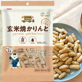 プラスフリー 玄米焼かりんと ノンフライ（40g）【ノースカラーズ】