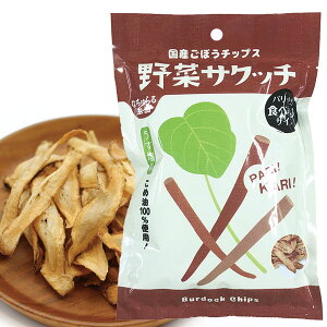 Ȃ鐶 ؃TNb` Yڂ`bvX HׂTCYi19gjyC[EL@z