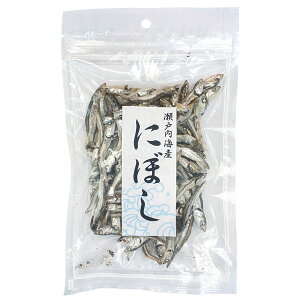 y10Viz˓CY ɂڂi肱ji70gjyCYЁz