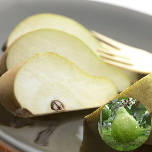 쌧YuEtXvi3kgi8`10ʁjjy񂳂t@[zyɂEszy\[~̌IMtgz