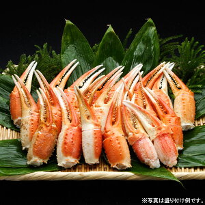 yʌz{킢ɒ܁iOJbgji1kgjyɂEszyⓀցzyNt[ŶziⓀ7jy|Cg5{1130܂Łz