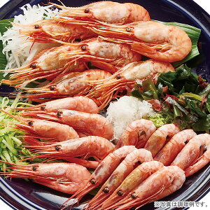 lюlyɂEszyⓀցzynЂ̂zy|Cg5{1130܂Łz