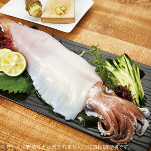 ĎqCJZbgyɂEszyⓀցzynЂ̂zy|Cg5{1130܂Łz