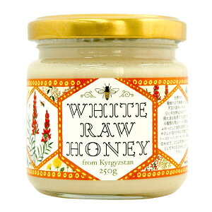 LMX݂̔͂i[nj[ji250gjryGR`[WWpz