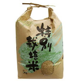 2023年度産 長崎県産 特別栽培米 ヒノヒカリ 玄米（5kg）【上島農産】