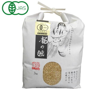 ʌ聚ߘa7NYV L@JAS ̓ ̂̈ Y āi3kgjy̓z