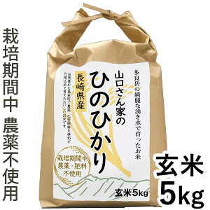 y11Vizߘa7NYV 茧Y Ђ̂Ђ āi5kgjŷ݂I[gz