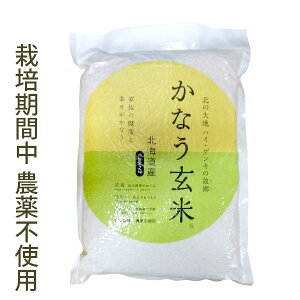 y11Viz݌Ɍ聚ߘa7NYV ͔|Ԓ_sgp kCY Ȃāi2kgj