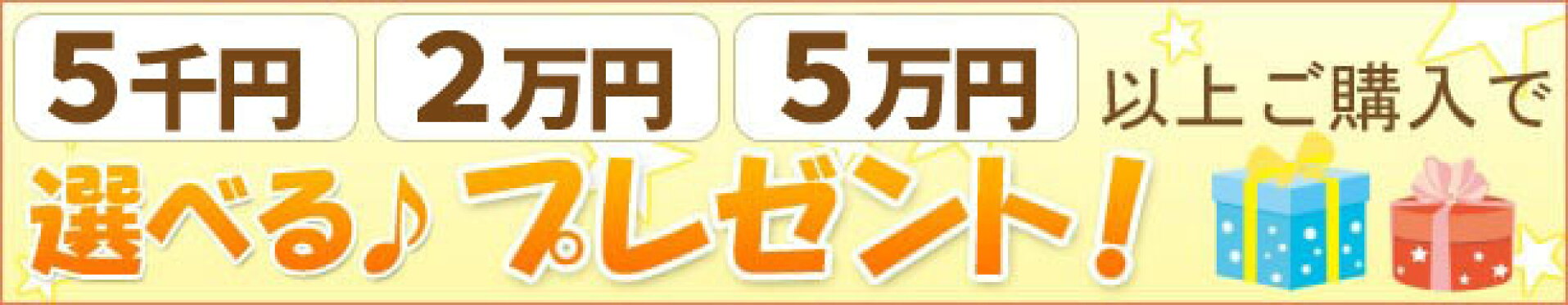 購入金額に応じて選べる！プレゼント♪
