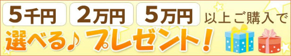 購入金額に応じて選べる！プレゼント♪