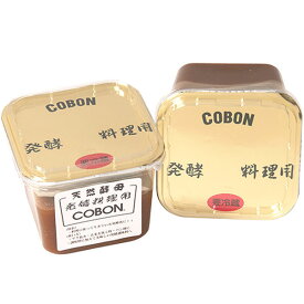 コーボン 発酵料理用（550g）【第一酵母】