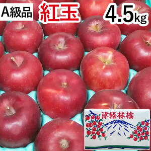 【A級品】紅玉(こうぎょく)青森りんご(約4.5kg)【竹嶋有機農園】【直送につき代引・同梱不可】【送料込】□