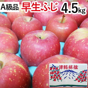 【A級品】早生ふじ青森りんご(約4.5kg)【竹嶋有機農園】【直送につき代引・同梱不可】【送料込】□