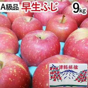 【A級品】早生ふじ青森りんご(約9kg)【竹嶋有機農園】【直送につき代引・同梱不可】【送料込】□