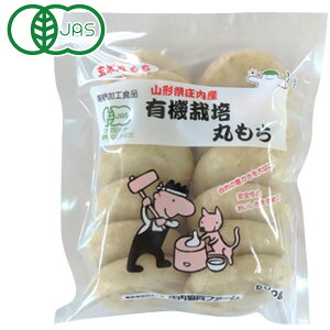 ʌ聚y11VizR`Y L@͔| Ċۂi500gi12jjyt@[zyNNnDKiz