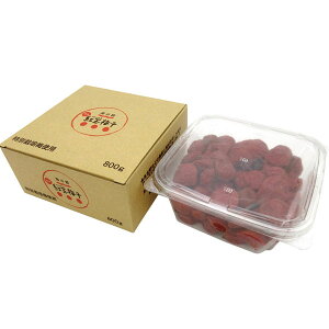 ʌ聚ʍ͔| gʔ~i800gjyC̐z