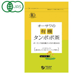 I[T̗L@^||i|[hYji40gi2g×20jjyI[TWpz