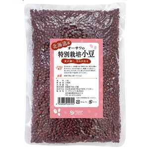 y12VizyʌzI[T̓ʍ͔|ikCYji1kgjyI[TWpz