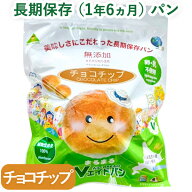 【4月新商品】Vエイドパンまるまる チョコチップ（1個）【東京ファインフーズ】