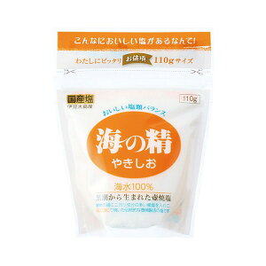 C̐ ₫ X^hpbNi110gjyC̐z