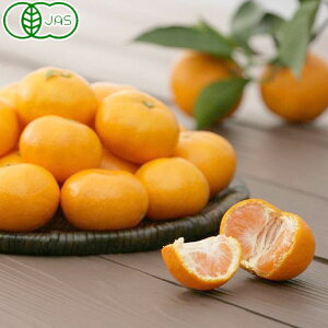 L@ELc݂iSML3kgjyÉʉzyɂEszy\[~̌IMtgzy|Cg5{1130܂Łz