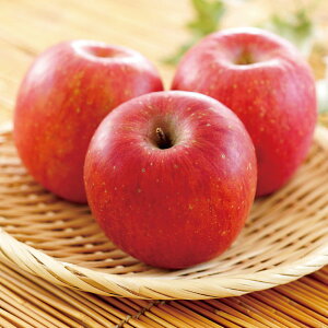 񂲁uTӂvi3kgi7`11ʁjjy񂳂t@[zyɂEszy\[~̌IMtgzy|Cg5{1130܂Łz