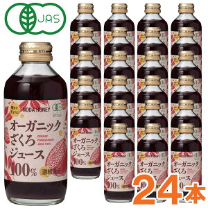 y10VizI[KjbN W[X100i180mljy24{Zbgzrycnj[HiHƁz