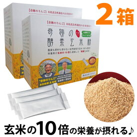 【4g入4本プレゼント付】奇跡の酵素玄米粉 木村式自然栽培玄米使用（120g（4g×30本））【2箱セット】【マルセイ】【いつでもポイント10倍】【送料無料】