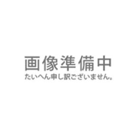 玉川温泉の岩盤浴ふとんDX 専用カバー シングル用【山甚物産】【直送につき代引・同梱不可】