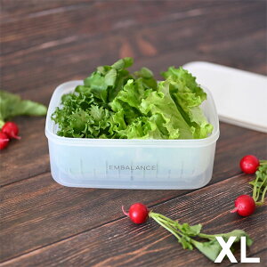 y݌ɌzGoX N^OReiip^jۑe zCgiUtjiXLTCYi2100mljjyEB}bNXz