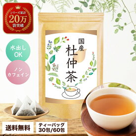 杜仲茶 国産 ティーバッグ ノンカフェイン 水出し 杜仲 とちゅう茶 デトックス お茶 健康茶 ティーパック カフェインレス 美容 リラックス デトックス 温活 腸活 送料無料 メール便 女性 ギフト