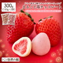 ＼今だけ★20％OFFクーポン／冬季限定まるごと苺チョコレート 150g 300g 1個からご注文が可能になりました！ お得2種…