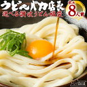 うどん 讃岐うどん 2種類から選べる本場讃岐うどん 8人前 送料無料 うどん選手権優勝! 楽天ランキング1位入賞 うどんバカ店長福袋 訳あり うどん さぬき u...