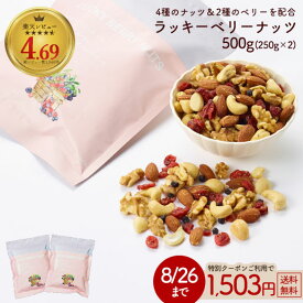 ≪今だけ555円OFF★まとめ買いクーポン≫大容量500g(250g×2) ラッキーベリーナッツ 送料無料 無塩 ナッツ ロカボ くるみ カシューナッツ アーモンド クランベリー ワイルドブルーベリー オメガ トレイルミックス 自然の館 家飲み 宅飲み