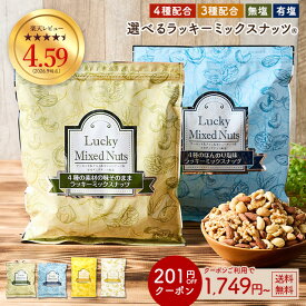 ≪はじめてなら511円OFF★新規限定クーポン≫ナッツ ミックスナッツ 無塩/有塩 無添加 ラッキーミックスナッツ アーモンド 素焼き 4種 3種 600g 送料無料 くるみ カシューナッツ マカダミアナッツ