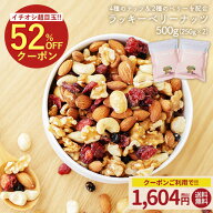 ≪6/4 20時〜全品対象500円OFF★まとめ買いクーポン≫大容量500g(250g×2) ラッキーベリーナッツ 送料無…