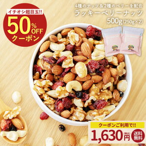 _150~OFF܂ƂߔN[|^e500g(250g×2) bL[x[ibc   ibc J{  JV[ibc A[h Nx[ Chu[x[ IK 