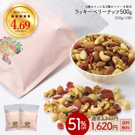 ≪今だけ300円OFF★まとめ買いクーポン≫大容量500g(250g×2) ラッキーベリーナッツ 送料無料 無塩 ナッツ ロカボ くるみ カシューナッツ アーモンド クランベリー ワイルドブルーベリー オメガ トレイルミックス 自然の館 家飲み 宅飲み