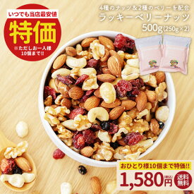 【19日20時〜1000枚限定★500円OFFクーポン】大容量500g(250g×2) ラッキーベリーナッツ 送料無料 無塩 ナッツ ロカボ くるみ カシューナッツ アーモンド クランベリー ワイルドブルーベリー オメガ トレイルミックス 自然の館 家飲み 宅飲み