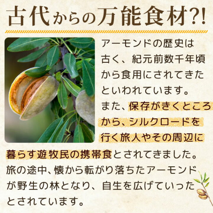 楽天市場 アーモンド プードル 500g 保存用チャック付き 皮無し 無添加 送料無料 Almond Powder アーモンド ナッツ アーモンドパウダー パウンドケーキ クッキー マカロン おやつ お菓子 製菓 製菓材料 業務用 大容量 保存食 非常食 訳あり 美味しさは元気の源