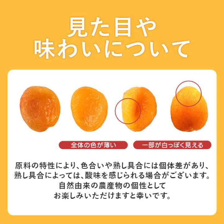楽天市場】≪今だけ955円OFF☆まとめ買いクーポン≫ドライ 