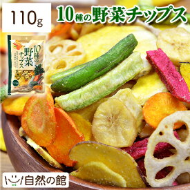 10種の野菜チップス 110g 送料無料 野菜チップス 野菜スナック 乾燥野菜 ベジタブル インスタ映え 家飲み 宅飲み 保存食 非常食 訳あり