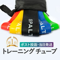 トレーニングチューブ【5本入り1セット】SPALTAX エクササイズバンド ゴムバンド ストレッチバンド チュ…