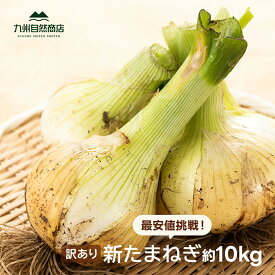 【訳あり】【送料無料】 新たまねぎ 約10kg / 20kg 佐賀県産 白石 たまねぎ 新玉ねぎ 玉ねぎ 甘くてやわらかい！辛くないから生でおいしい！送料込 最安値 挑戦