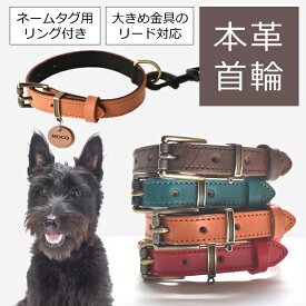 犬 首輪 本革 イタリアンレザー おしゃれ 小型犬 中型犬 ドッグカラー レザー 革 犬用 シンプル 軽量 高級 かわいい ペット 首輪 トイプードル チワワ 柴犬 ダックス ビションフリーゼ 散歩 犬グッズ 送料無料