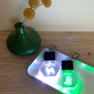 y yVLO1 lIzqD 48̌VGbg ۏ؏t  U Cg 铹 [d ̎U O dbԍ LED ʈS 킢  l[v[g USB [d U